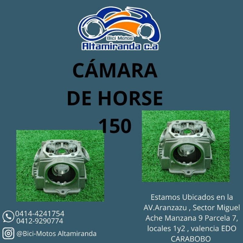 Cámara HORSE-150