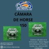 Cámara HORSE-150