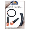 caucho 29 x2.10 cst original
