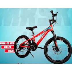 BICICLETA AND BIKE RIN 20