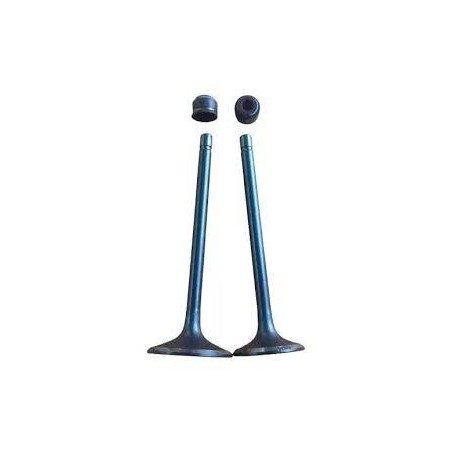 Válvula  admisión CG 200